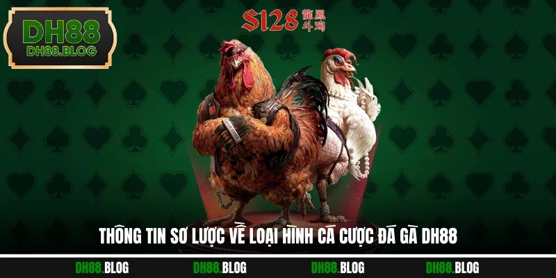Thông tin sơ lược về loại hình cá cược đá gà DH88