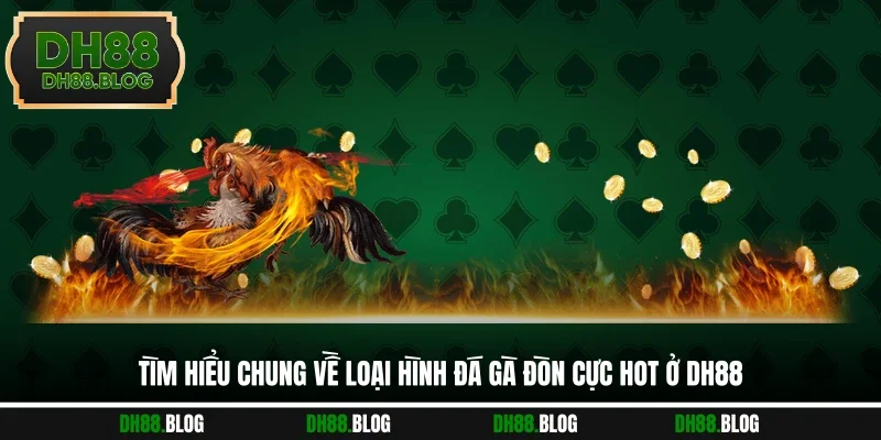 Tìm hiểu chung về loại hình đá gà đòn cực hot ở DH88